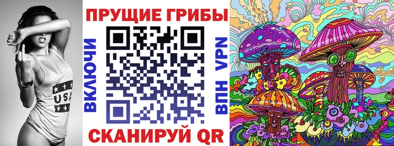 Псилоцибиновые грибы Psilocybine cubensis  Нязепетровск 